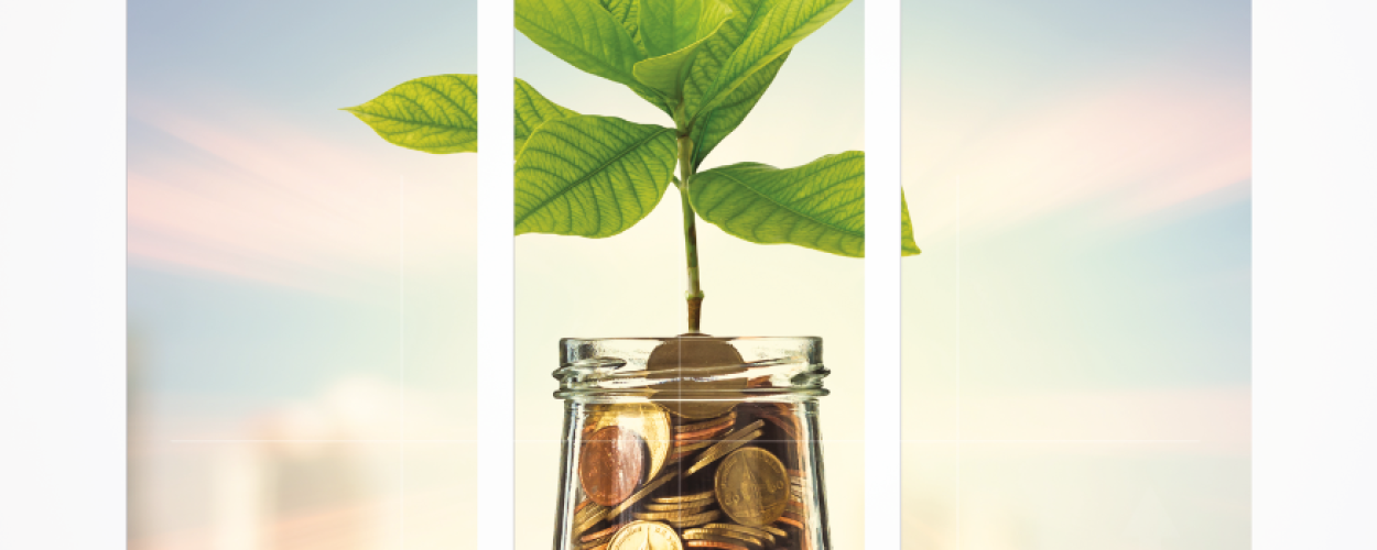 تقرير مدققي الحسابات للعام 2021