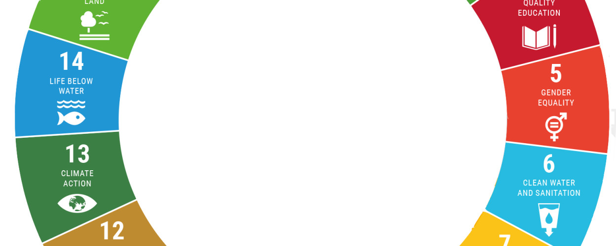 أهداف التنمية المستدامة 2030