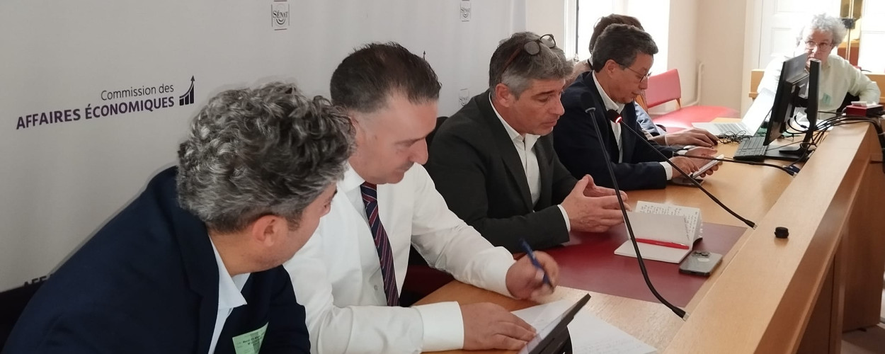 رئيس اتحاد الهيئات المحلية يعقد اجتماعات موسعة في فرنسا لبحث دعم القضية الفلسطينية