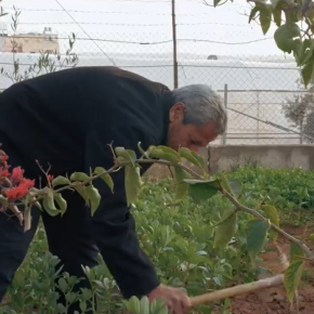 تأهيل البركة وبيت بلاستيكي في سكة وطواس | Reservoir Rehabilitation and Greenhouse in Sikka