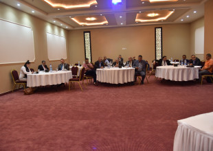 Administrative Committee Discusses APLA's draft Strategic Plan for Years 2019-2022