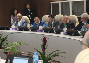 UCLG-MEWA Meetings