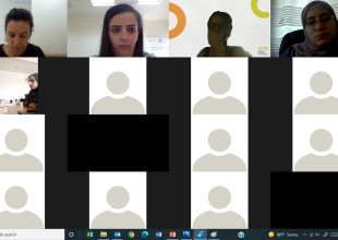اتحاد الهيئات المحلية يعقد لقاءات تشاورية مع الهيئات المحلية حول أداة التقييم الذاتي بما يتعلق بذوي الإعاقة