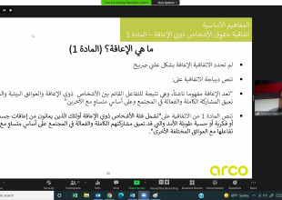 اتحاد الهيئات المحلية يعقد لقاءات تشاورية مع الهيئات المحلية حول أداة التقييم الذاتي بما يتعلق بذوي الإعاقة