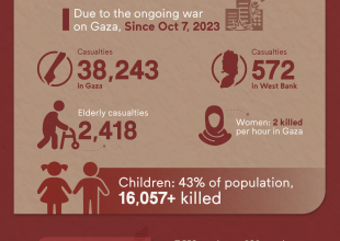 Factsheets: APLA's Updates Concerning the Situation in Palestine