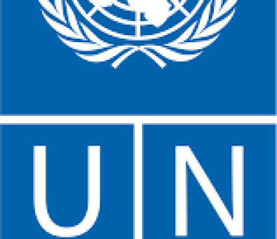 برنامج الأمم المتحدة الإنمائي