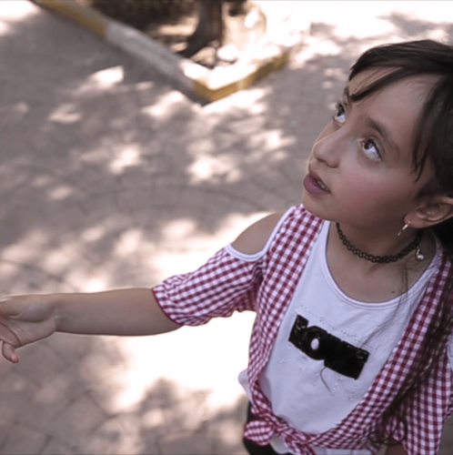 Healthy Society and Clean Environment