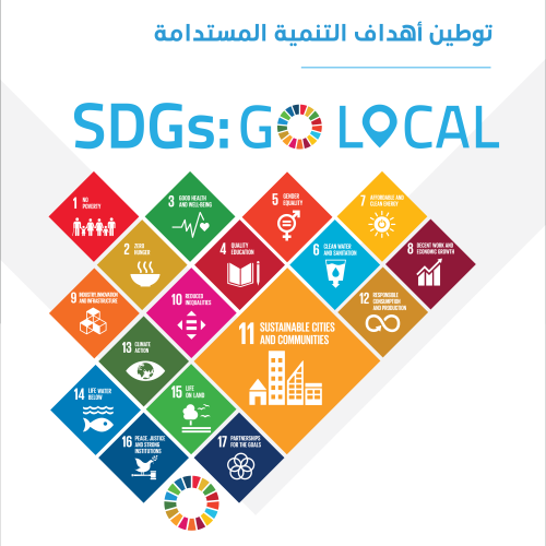 Sustainable Local Development Program