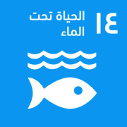 الحياة تحت الماء