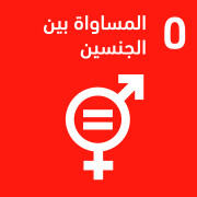 المساواة بين الجنسين